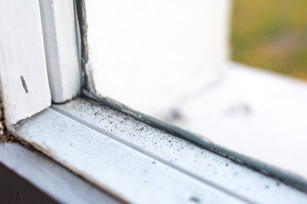 Best Mold Removal for HVAC Installations  in Mckee City, NJ