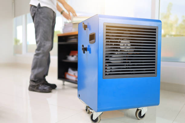 Trusted Mckee City, NJ Mold Removal Experts