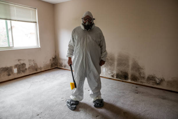 Best Water Damage & Mold Remediation  in Mckee City, NJ